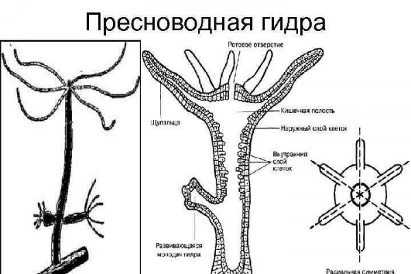 Kra44.cc Вход на сайт главная страница