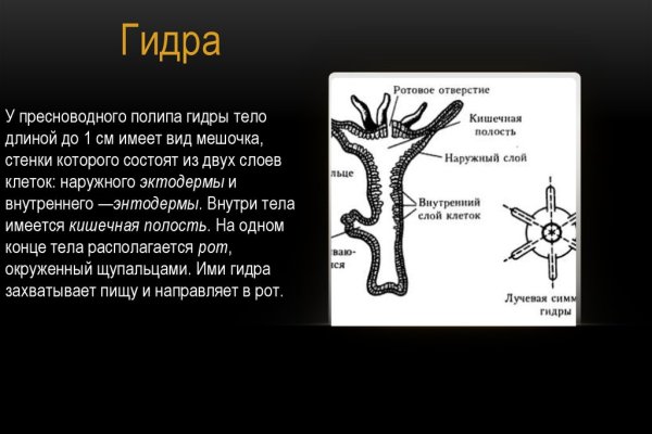 Kra41.at