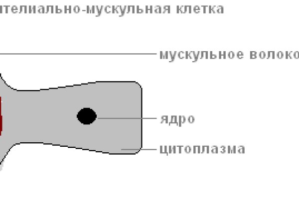 Kra43.at