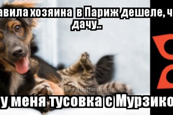 Магазин даркнета