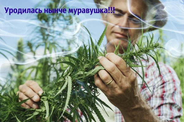 Кракен прямая ссылка
