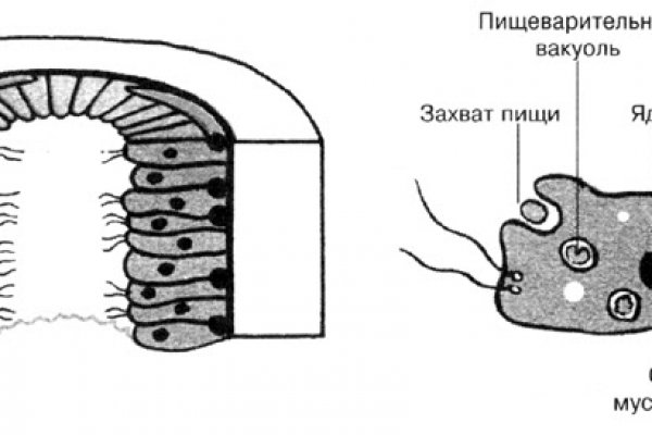 Kra33.cc Вход на сайт главная страница