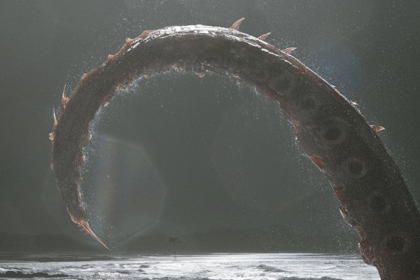 Kraken kraken link24 info