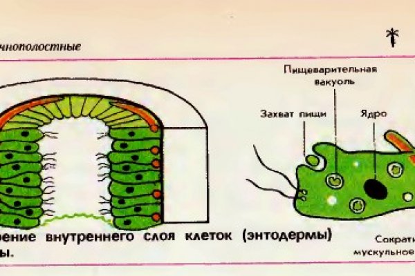 Кракен макет даркнет