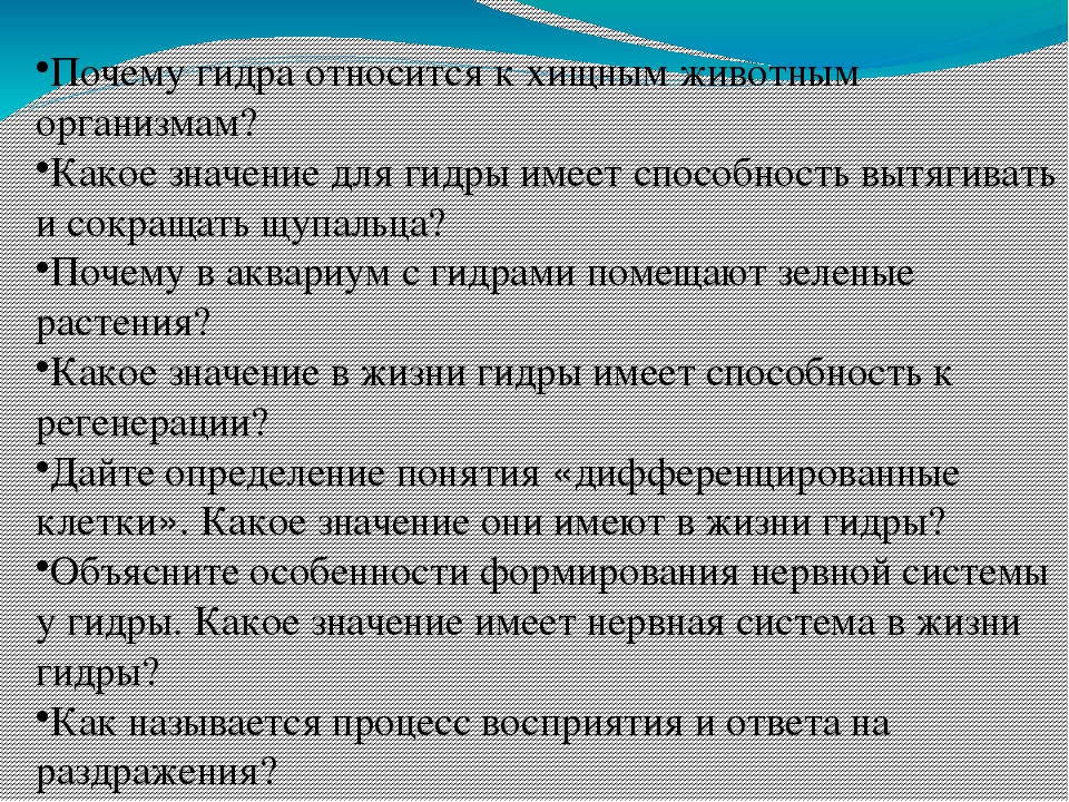 Кракен орг